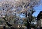 同窓会（1・2年生）